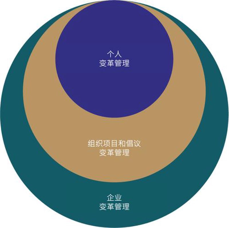 企业管理咨询：新时代企业的灯塔